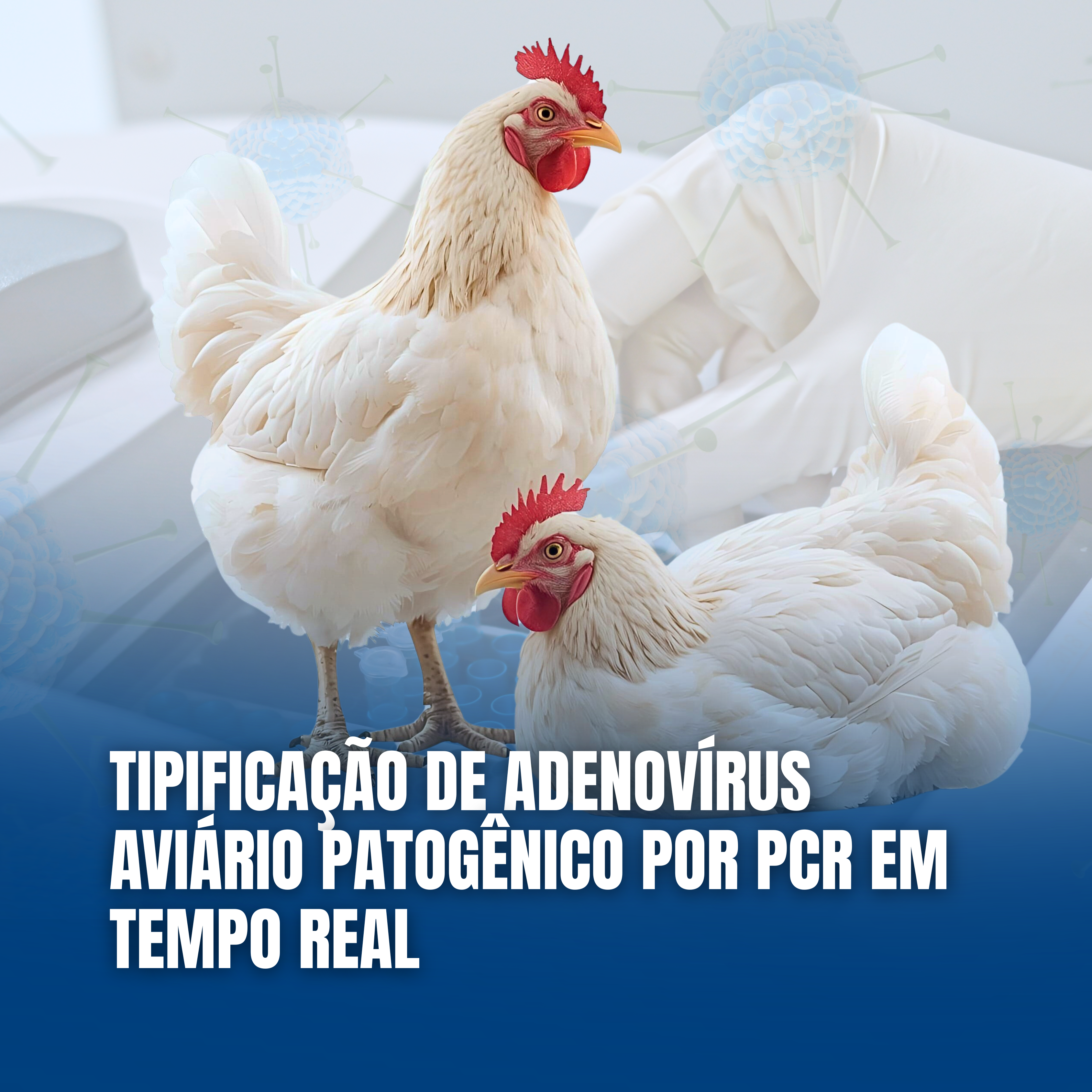 Tipificação Molecular de Adenovírus Aviário (FAdV):  Contexto, Importância e Aplicação Diagnóstica