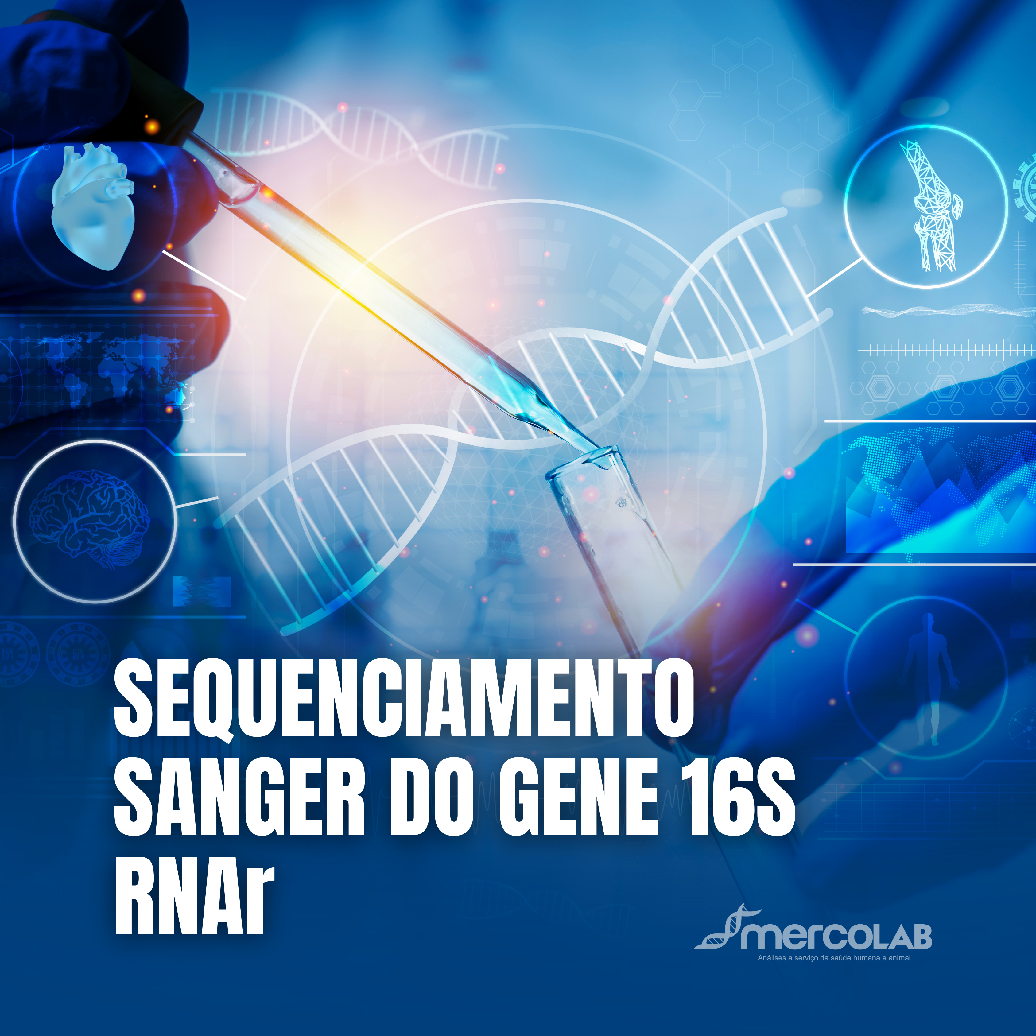 SEQUENCIAMENTO SANGER DO GENE 16S RNAr